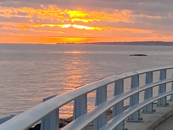 Dana Garitta photo 29