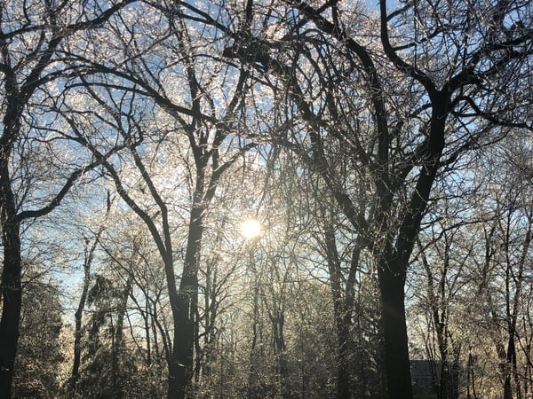 Felicia Frey photo 24