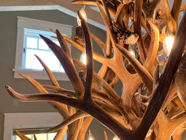 Samira Malek photo 15