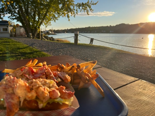 Samira Malek photo 10