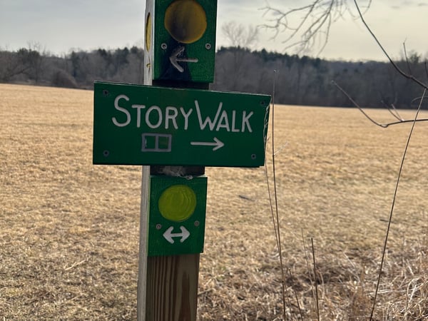 Katie Marcon photo 4