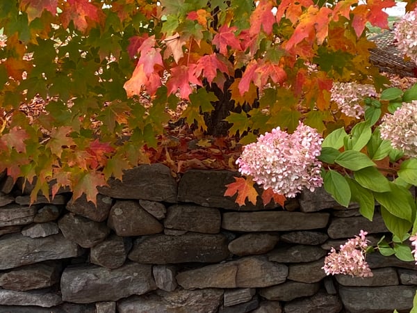 Katie Marcon photo 6