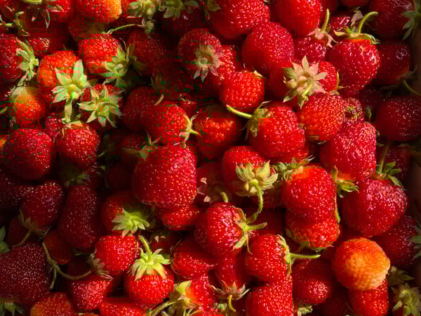 Katie Marcon photo 10