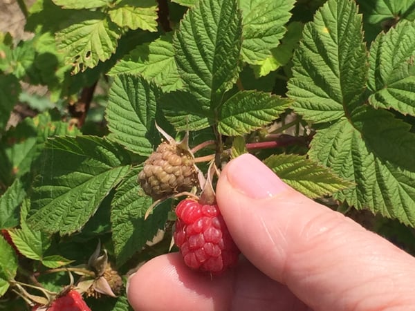 Katie Marcon photo 11