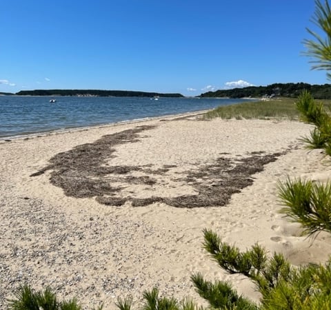 Karen Casey photo 13