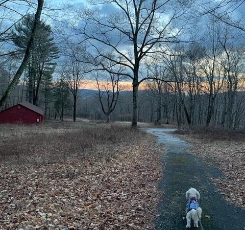 Karen Casey photo 14