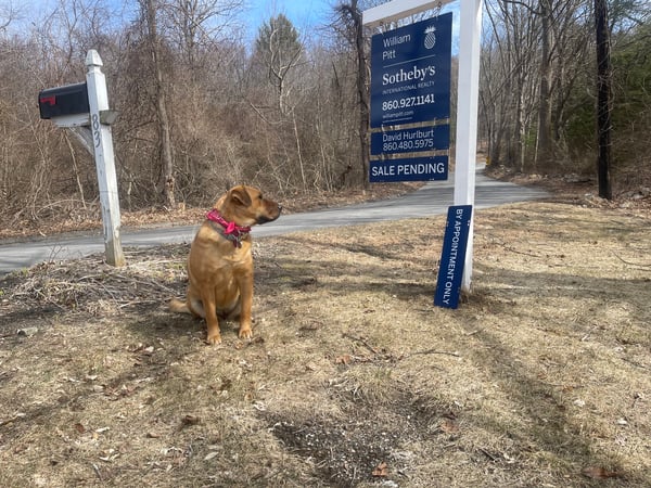 David Hurlburt photo 7