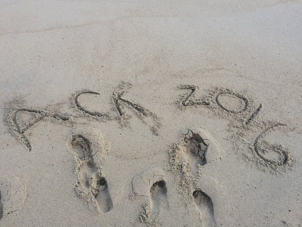 Phoebe Schreiner photo 14