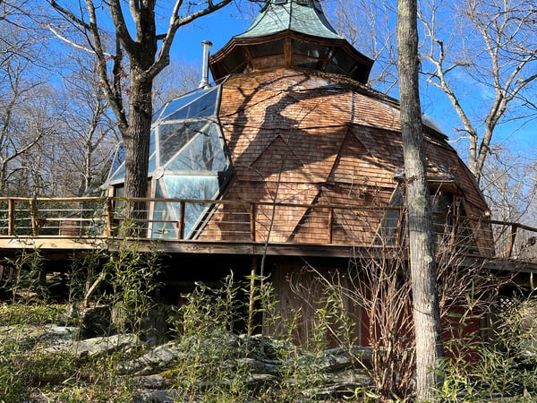 Mary Phelps photo 13