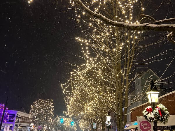 Mary Phelps photo 10