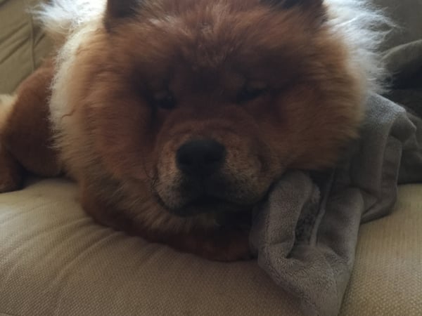 Betsy Anderson photo 4