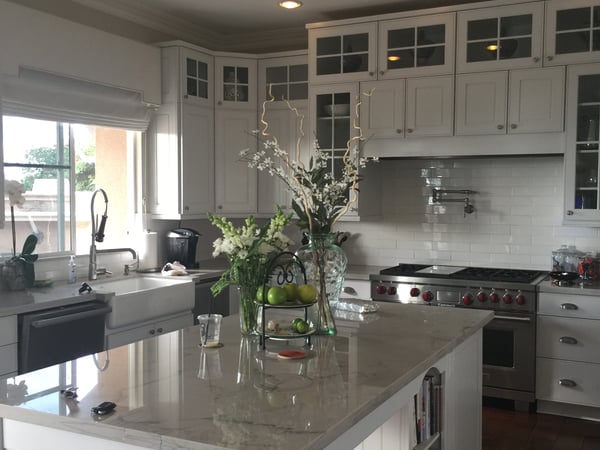 Betsy Anderson photo 7