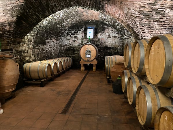 Eileen Carpanzano photo 7