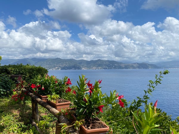 Eileen Carpanzano photo 15