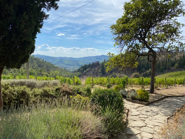 Eileen Carpanzano photo 5