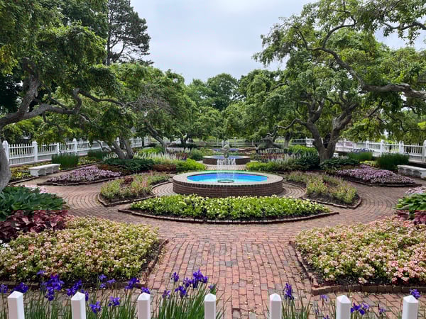 Erin Caporizzo photo 4