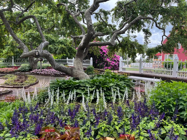 Erin Caporizzo photo 7