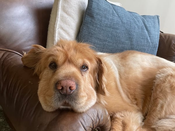 Erin Caporizzo photo 10