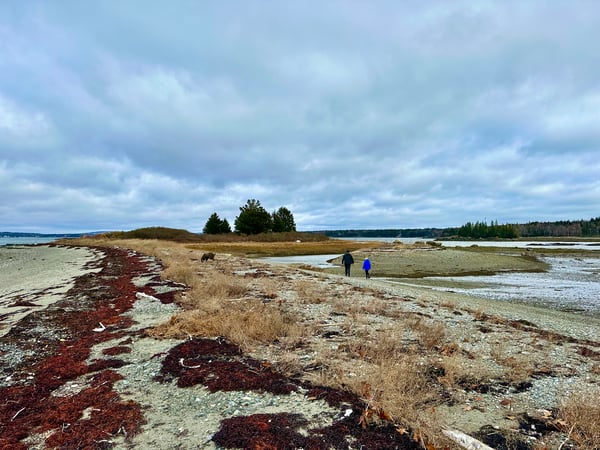 Julie Setterlund photo 4