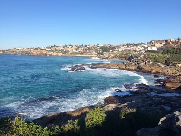 Debra Pardales photo 3