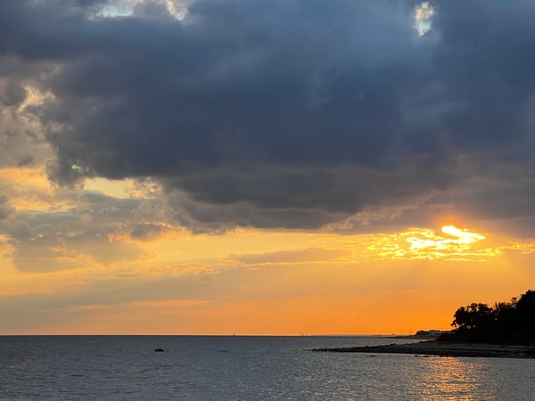 Kimberly Winnick photo 2