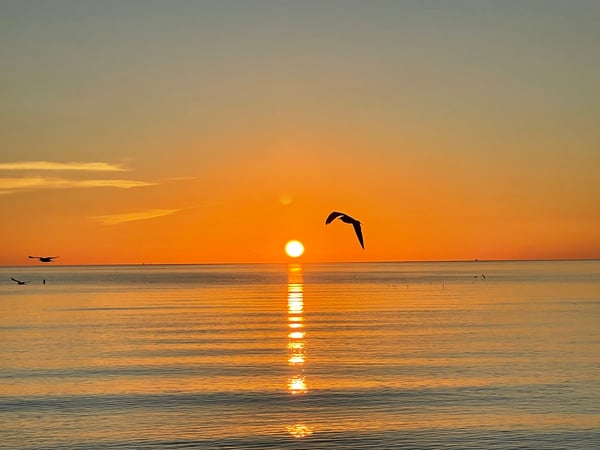 Kimberly Winnick photo 7