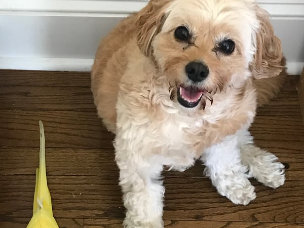 Kimberly Winnick photo 3