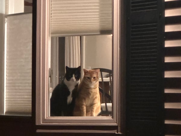 Amanda Gaudette photo 6