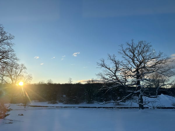 Janet Nelson photo 7