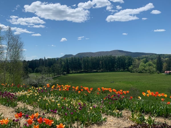 Jessie Bennett photo 4