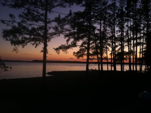 Jeanie Budge photo 7