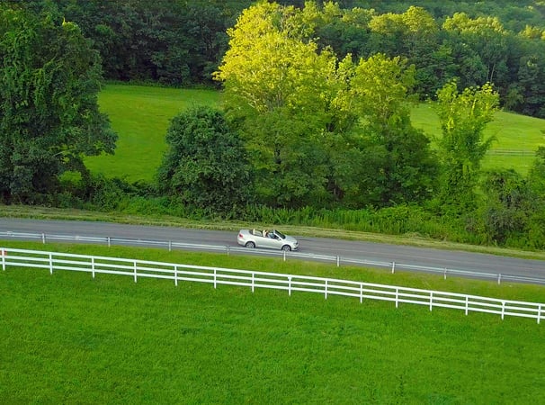 Diane Stevens photo 9