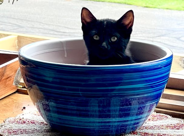 Stephanie McNair photo 6