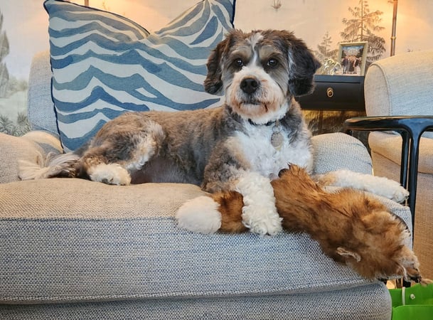 Molly O'Brien Watkins photo 6