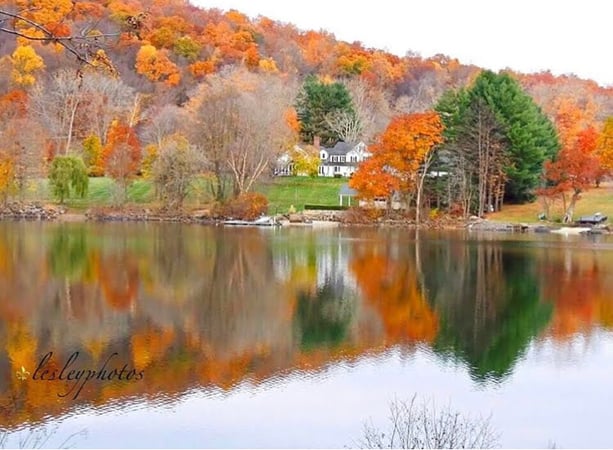 Stephen Shiller photo 1