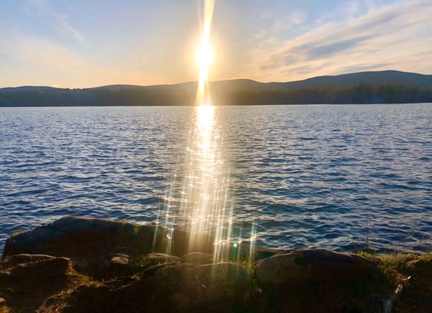 Stacy D. Chojnowski photo 1