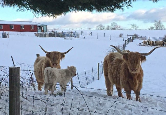 Gladys Montgomery photo 12