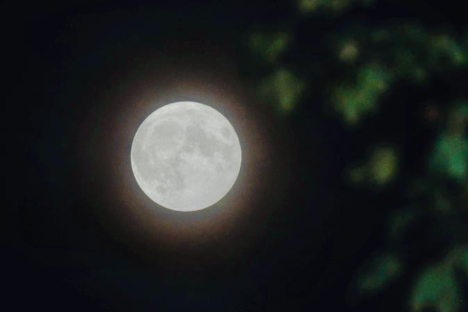 Karen Ptashnik photo 10