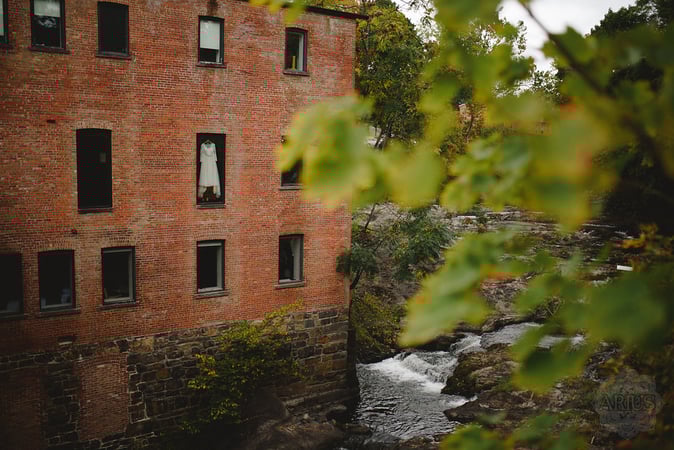 Lily Stelluti photo 7