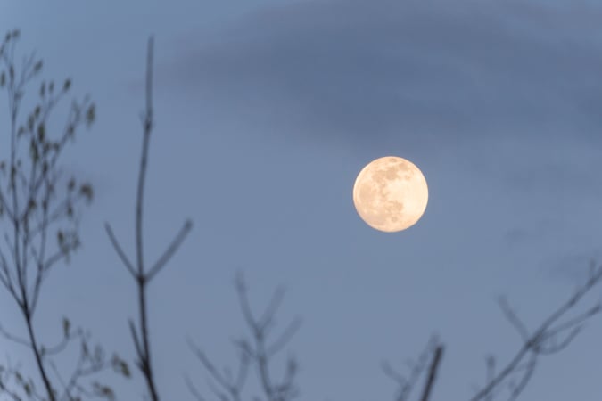 Karen Ptashnik photo 12