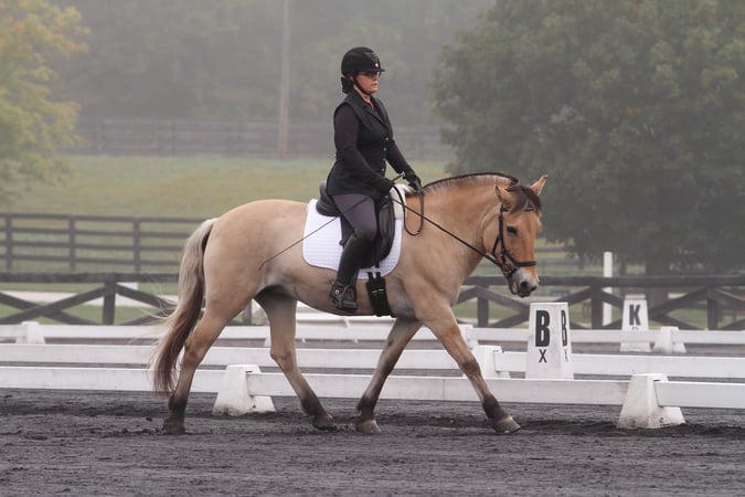 Elvia Gignoux photo 3