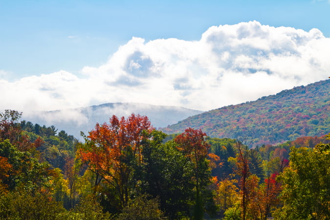 Gladys Montgomery photo 1