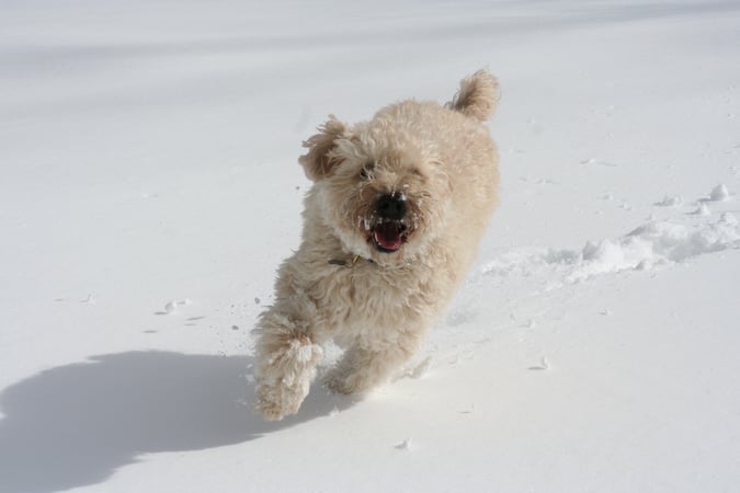 Christy Muller photo 10