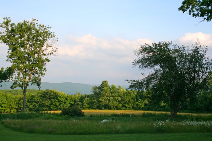 Gladys Montgomery photo 6