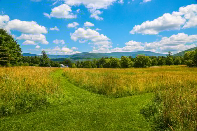 Gladys Montgomery photo 33