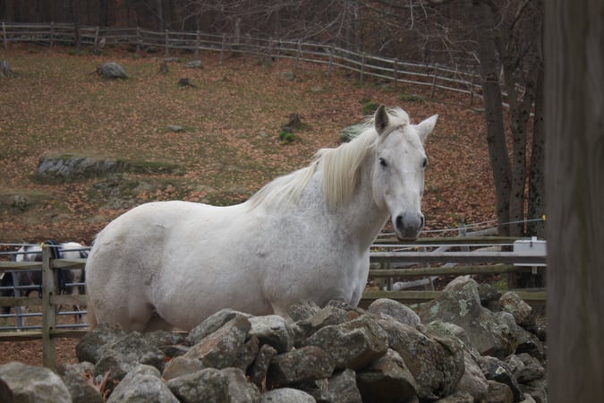 Katie Marcon photo 9