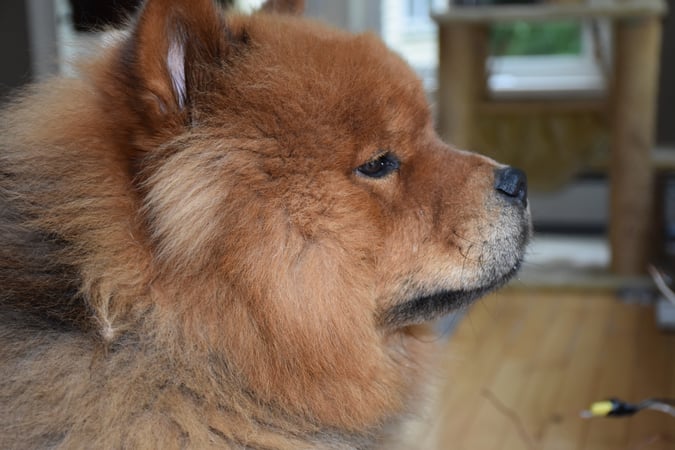 Betsy Anderson photo 10