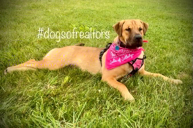 David Hurlburt photo 3