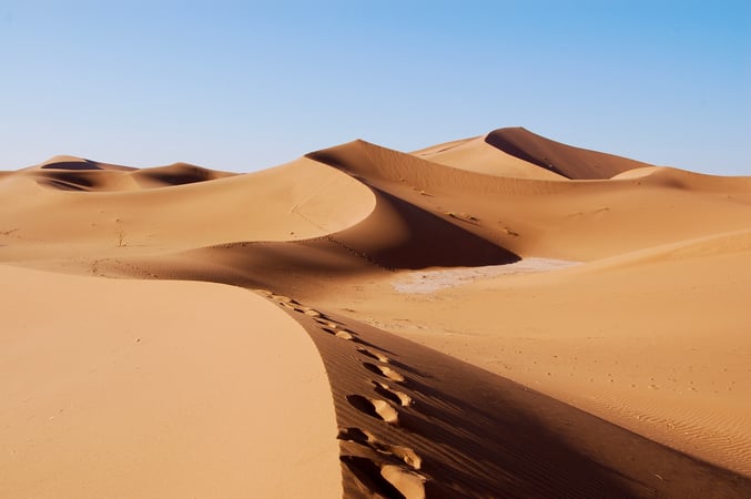 Jared Kelly photo 12