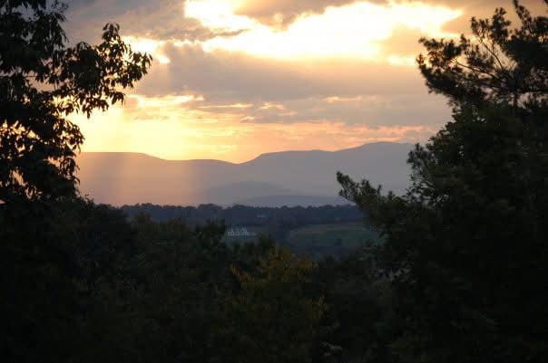 Dawn M. Friedman photo 1